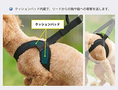 Amazon | アニフル (anifull) アニサポ ハーレスト ブラック Lサイズ